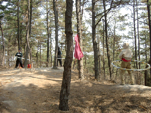 훌라우프하는 사람들 